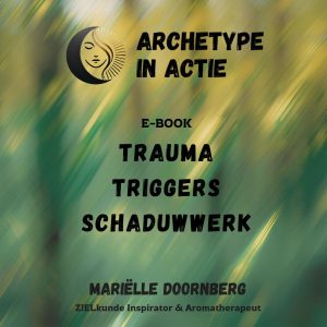 Trauma, Triggers & Schaduwwerk