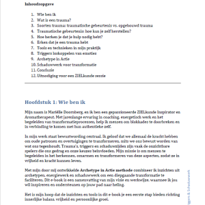 Inhoud: Trauma, Triggers & Schaduwwerk