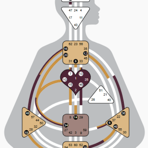 Human Design Chart