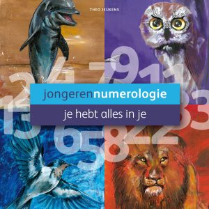 Numerologie boek